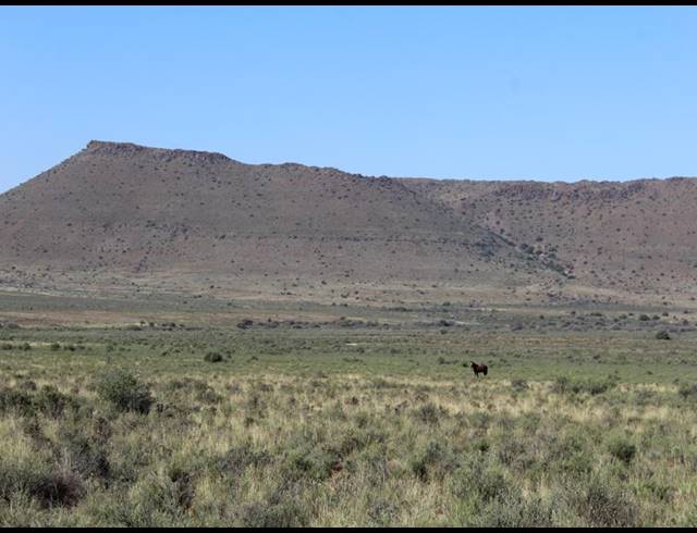 8,280HA FARM FOR SALE IN RICHMOND RURAL